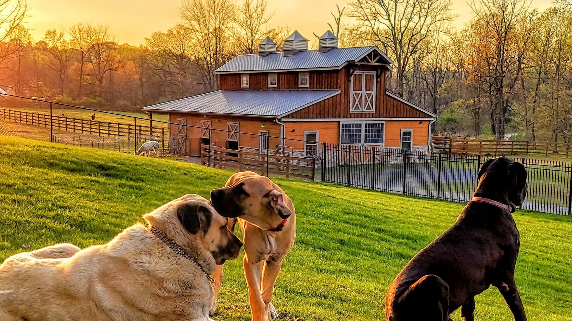 Film & Video shoot location near Philly with large acreage and amish style barn
