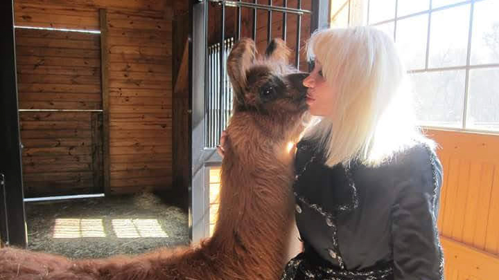 Residential estate film production rental & photoshoot rental with alpaca & llama ranch.